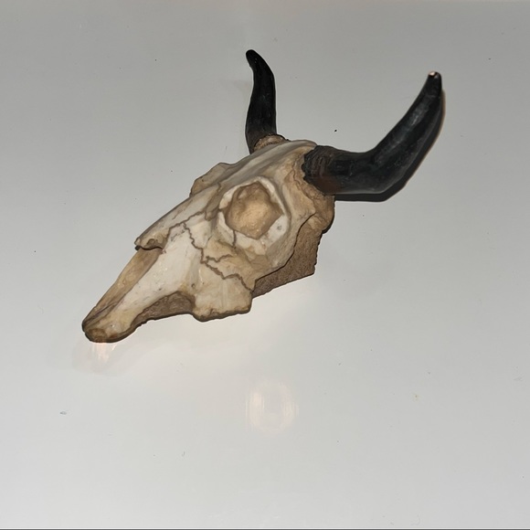 Western decor long horns paper weight DECOR looks great on any Shelf - Picture 3 of 5